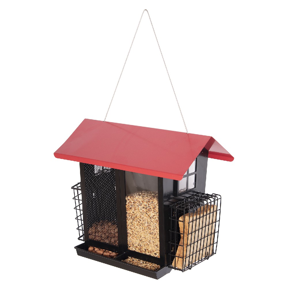 Custom Feeders for Large Properties City Balcony Personalized Tailored Non-Profit Collaboration Bird